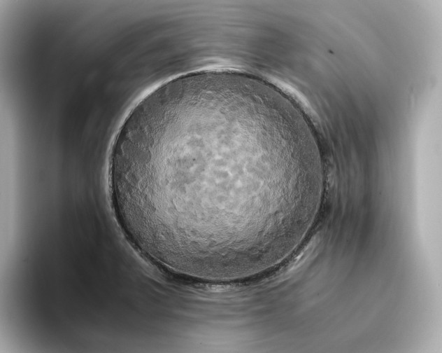 X0000095121375200712211301