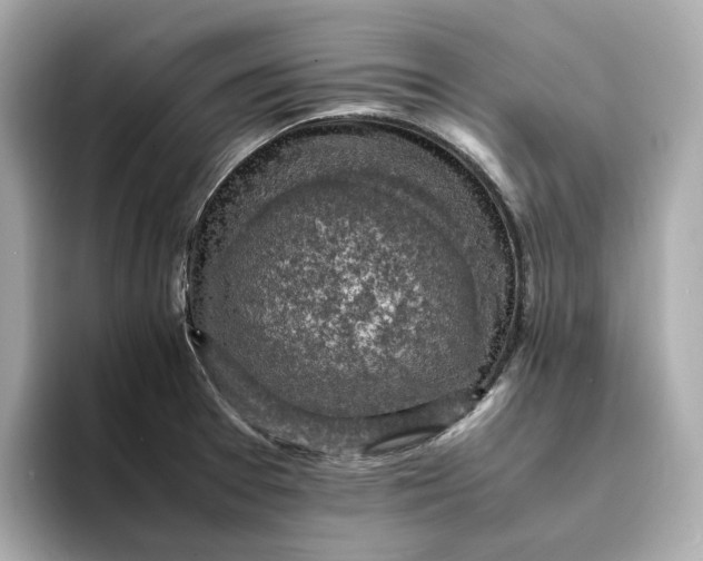 X0000095121377200712211301