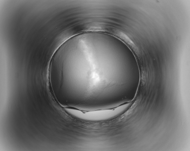 X0000095121378200712211301