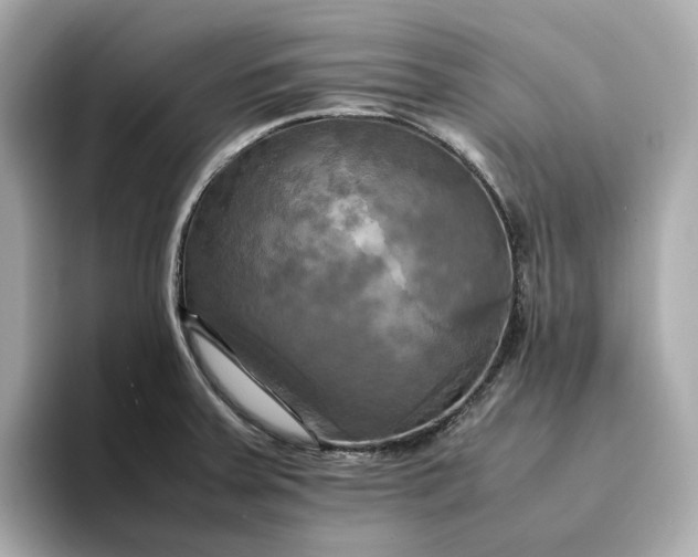 X0000095121379200712211301