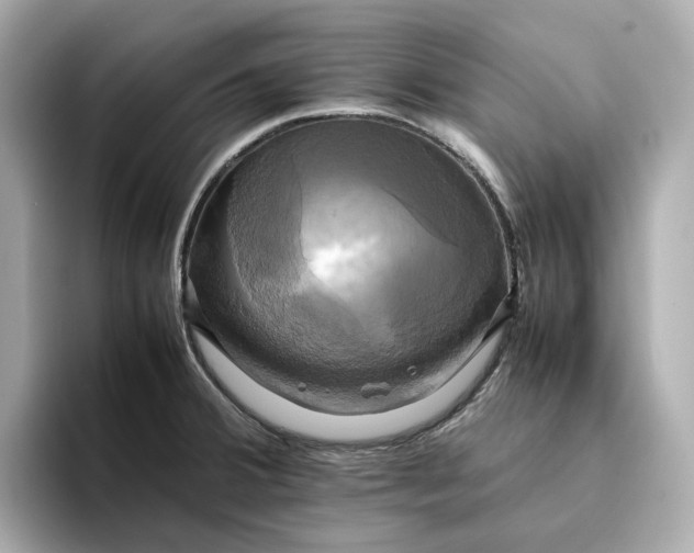 X0000095121380200712211301