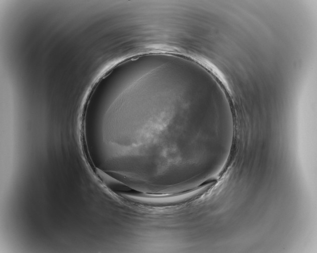 X0000095121381200712211301