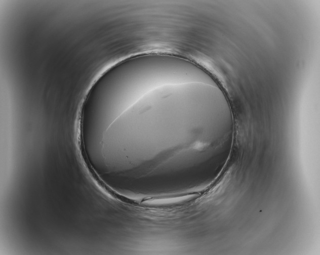 X0000095121383200712211301