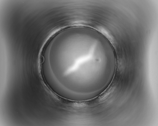 X0000095121384200712211301