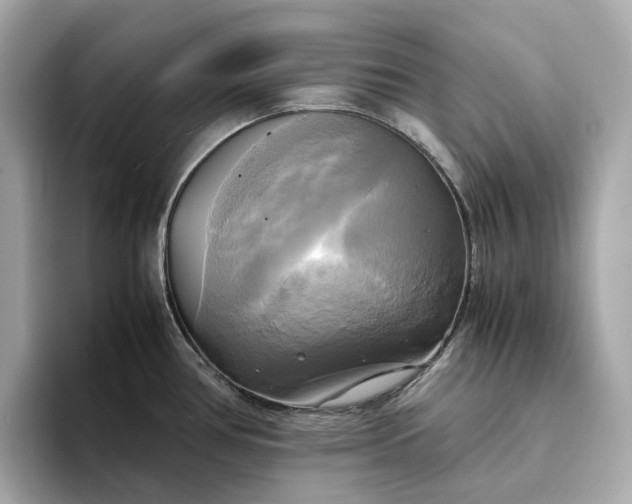 X0000095121386200712211301