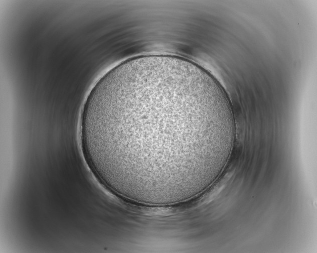 X0000095121387200712211301