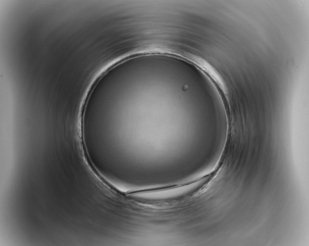 X0000095121388200712211301