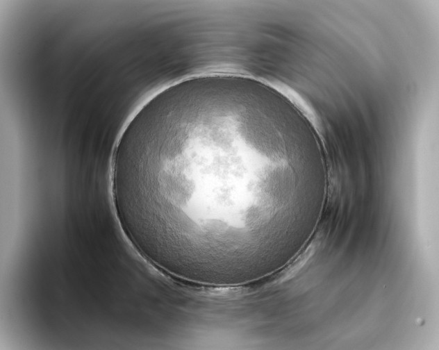 X0000095121390200712211301