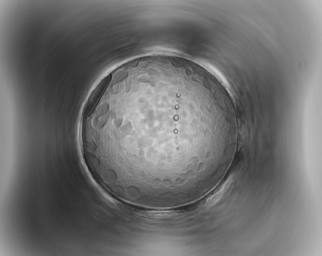 X0000095121391200712211301