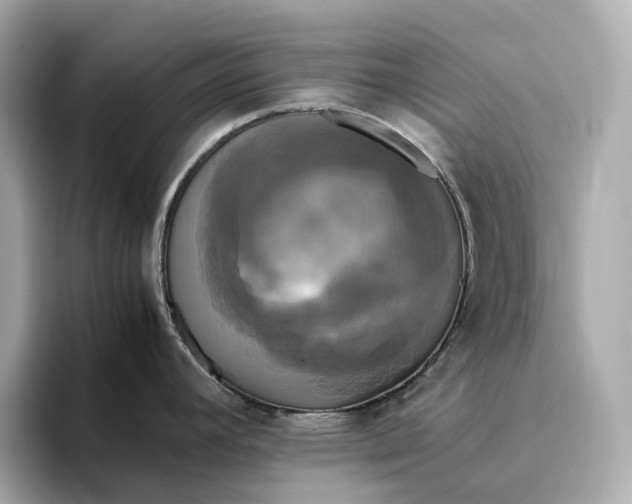 X0000095121392200712211300