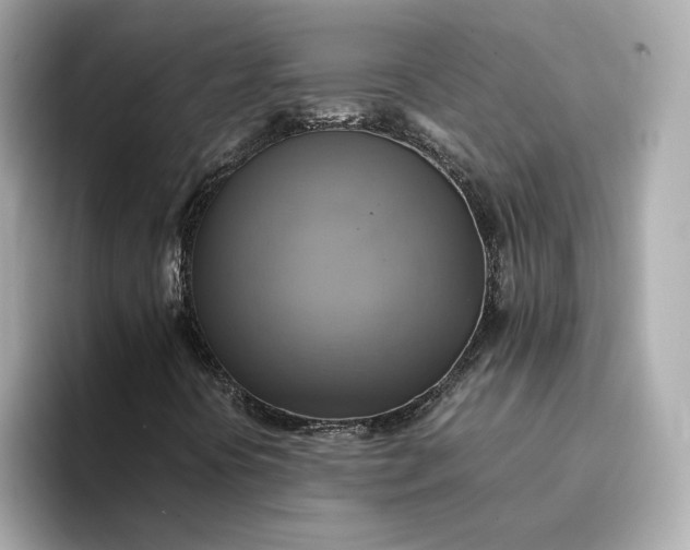 X0000095121394200712211300