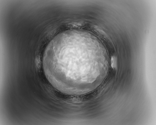 X0000095121395200712211300