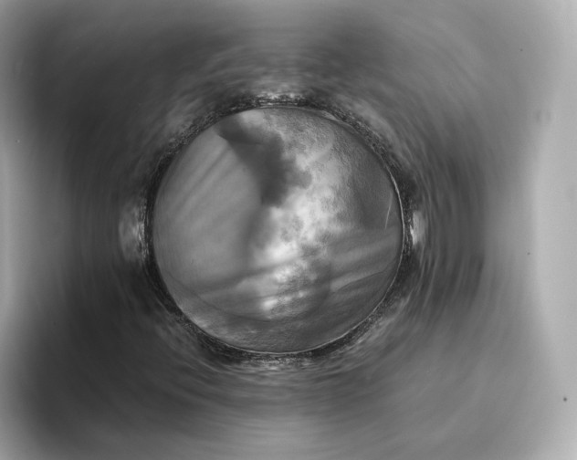 X0000095121396200712211300