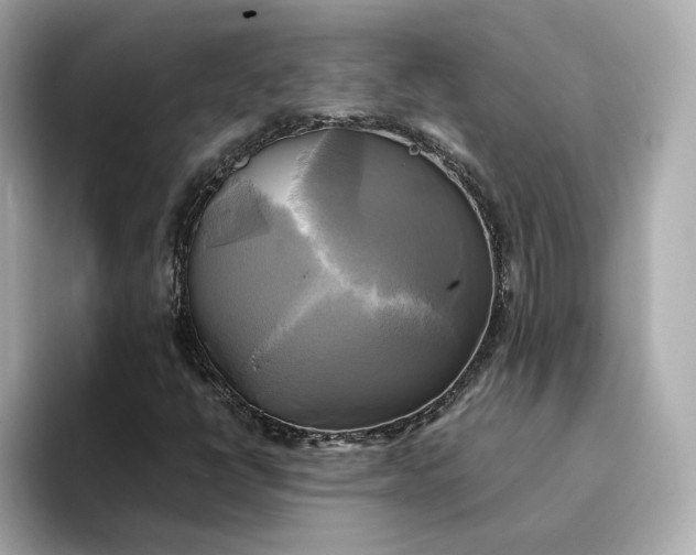 X0000095121398200712211300