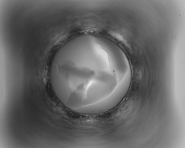 X0000095121399200712211300