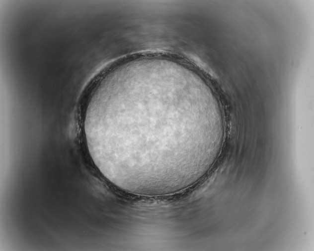 X0000095121400200712211300