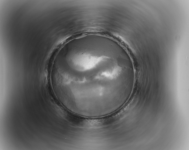 X0000095121402200712211300