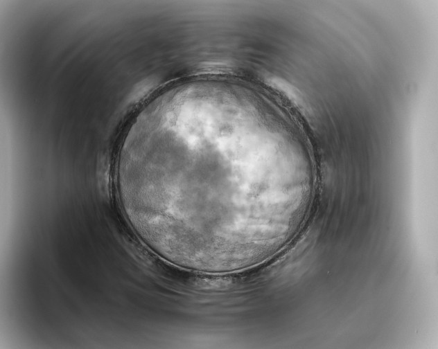 X0000095121403200712211300