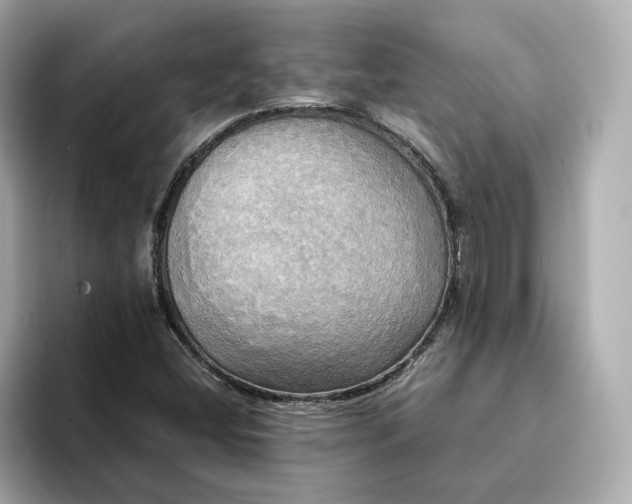 X0000095121404200712211300