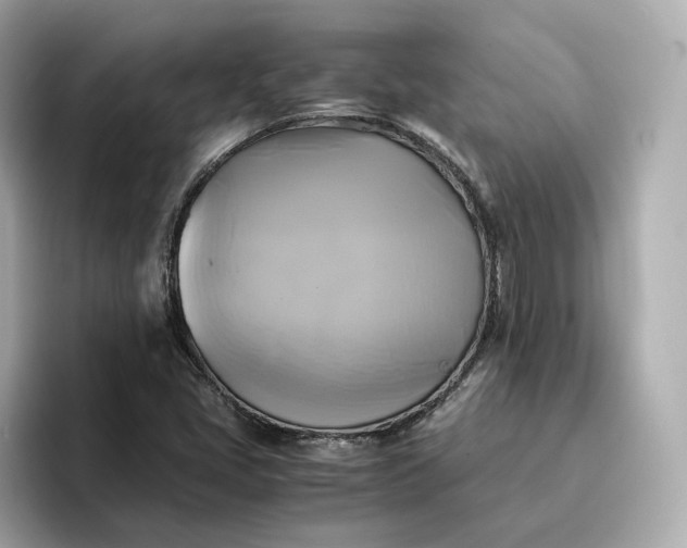 X0000095121405200712211300