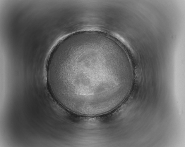 X0000095121408200712211300