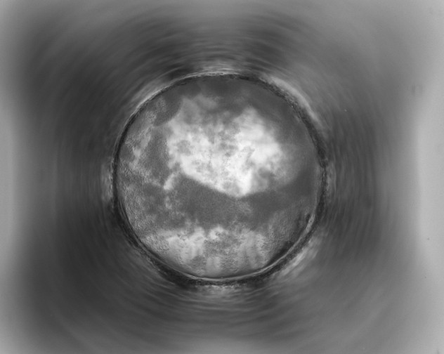 X0000095121409200712211300