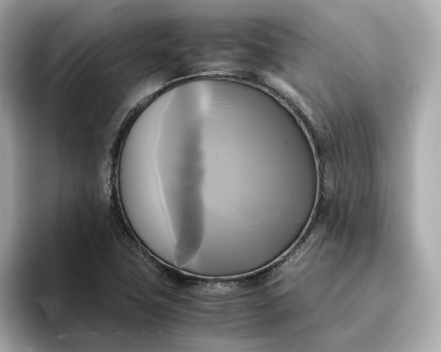 X0000095121411200712211300