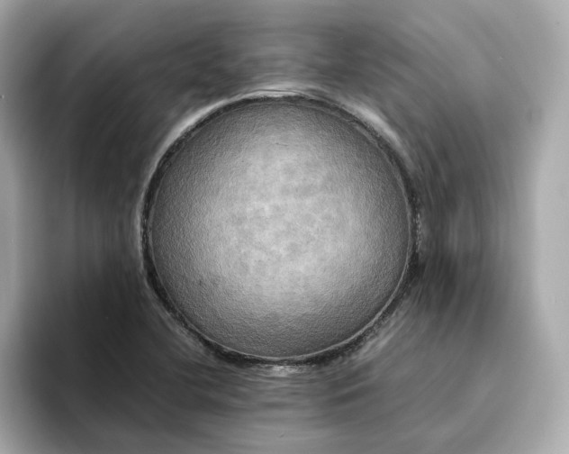 X0000095121412200712211300