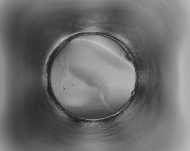 X0000095121414200712211300