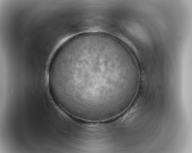 X0000095121416200712211300