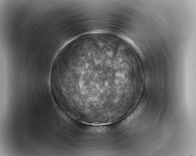 X0000095121417200712211300