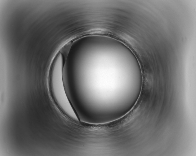 X0000095121418200712211300