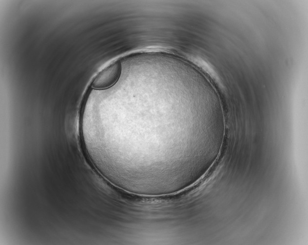 X0000095121420200712211300