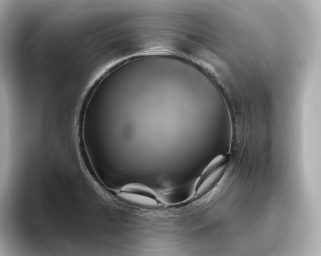 X0000095121422200712211300