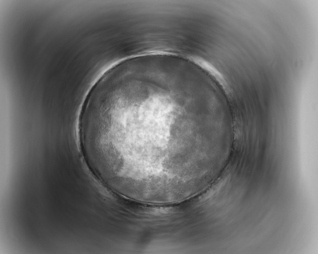 X0000095121423200712211300