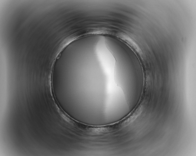 X0000095121425200712211300