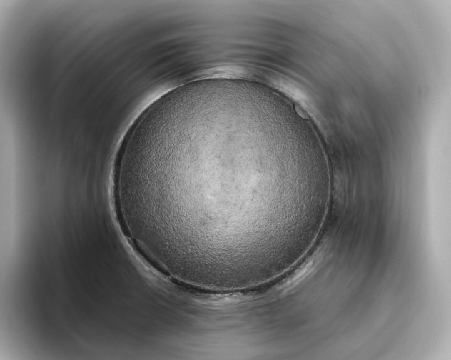 X0000095121426200712211300