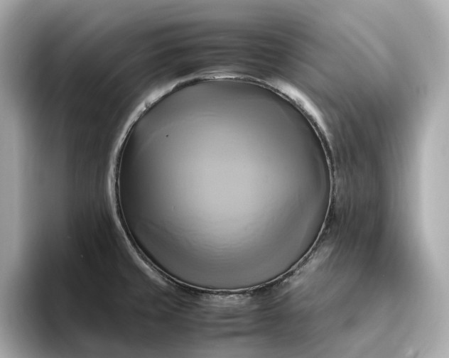 X0000095121429200712211300