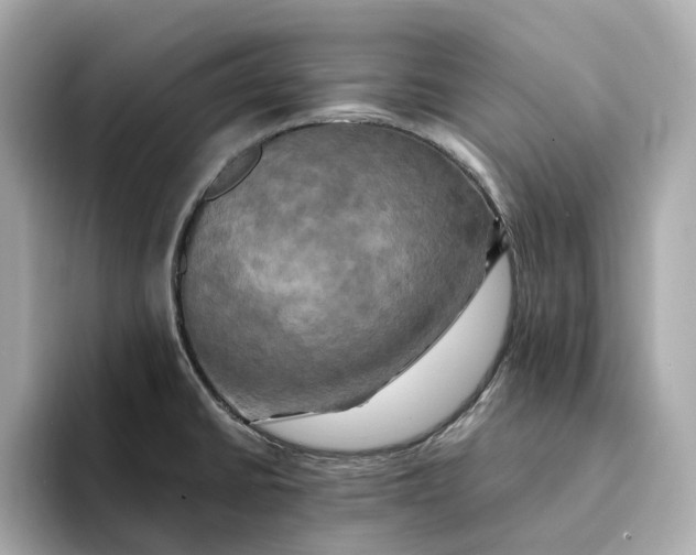 X0000095121430200712211300