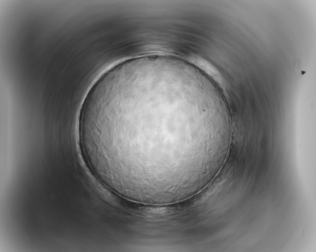 X0000095121431200712211300