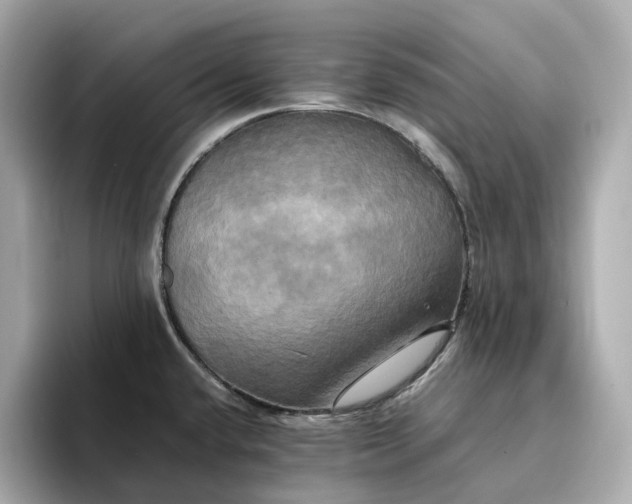 X0000095121432200712211300