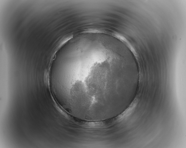 X0000095121433200712211300