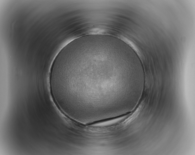 X0000095121434200712211300