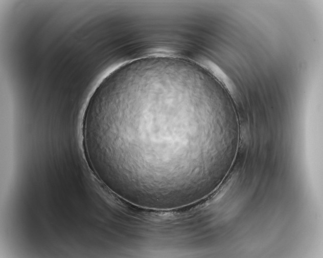 X0000095121435200712211300