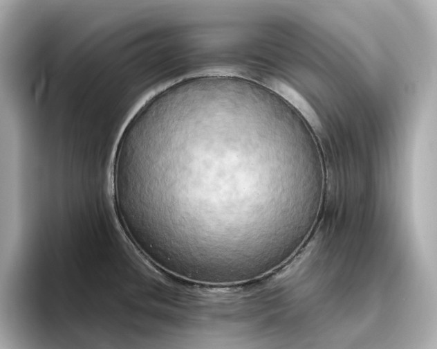 X0000095121436200712211300