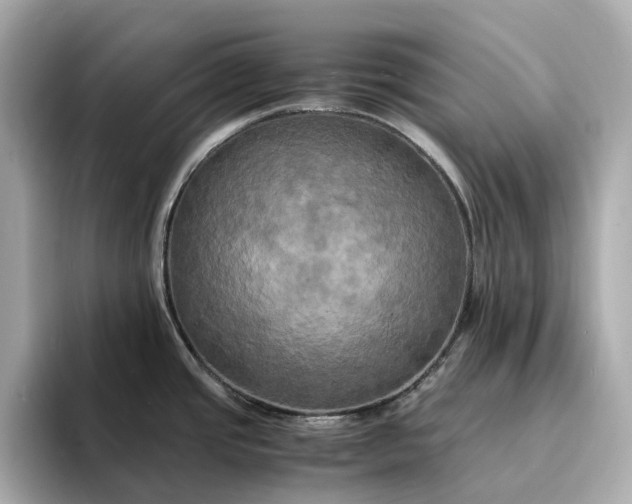 X0000095121437200712211300