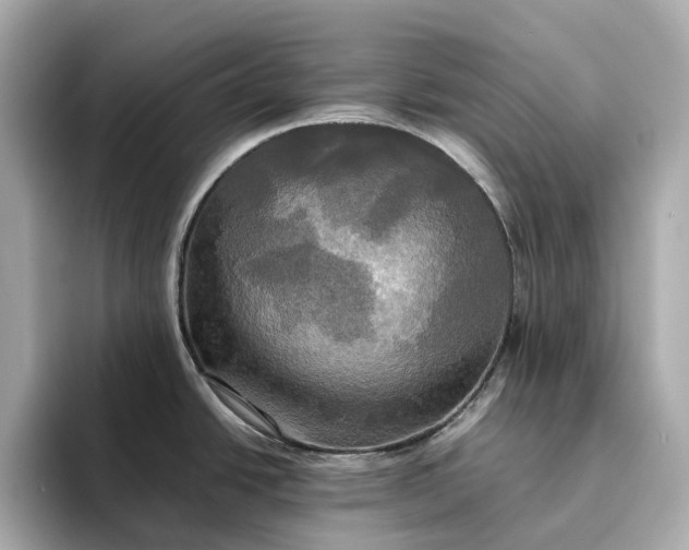 X0000095121438200712211300