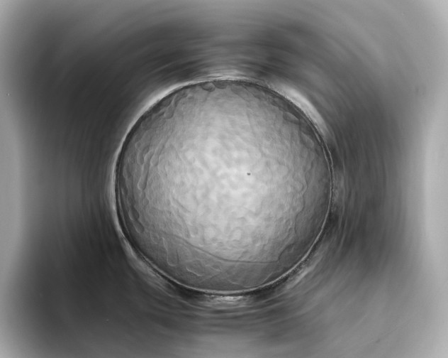 X0000095121439200712211300