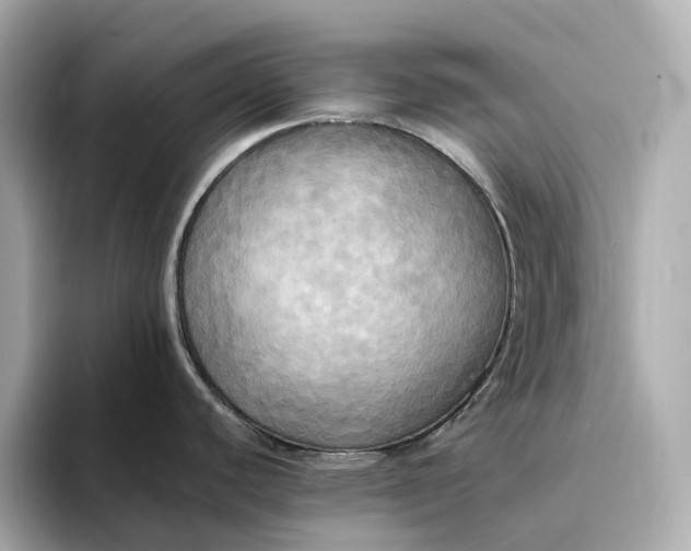 X0000095121440200712211300