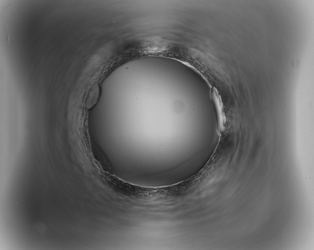 X0000095121441200712211300